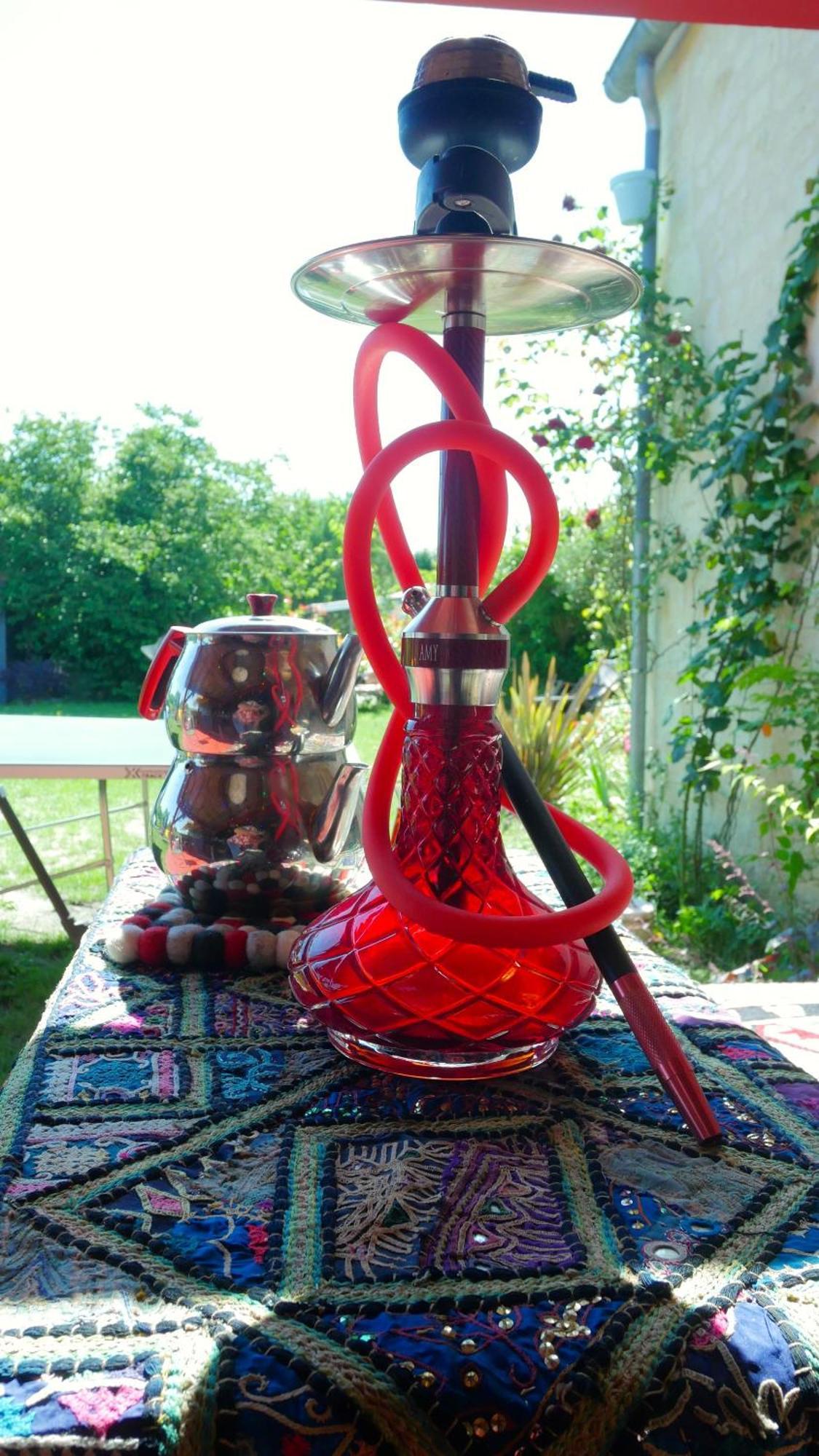 Les Jardins D'Ispahan Prignac-et-Marcamps Εξωτερικό φωτογραφία